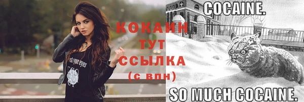 молекула духа Горно-Алтайск