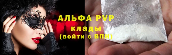 apvp Горняк