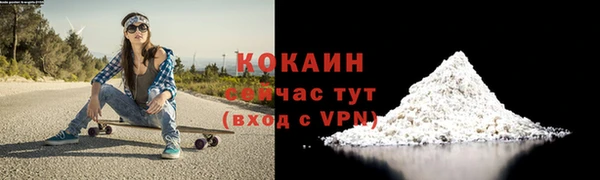 молекула духа Горно-Алтайск