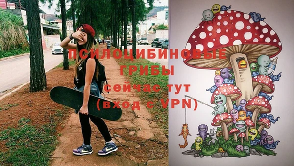 дмт Лагань