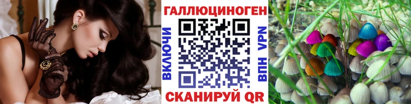 Псилоцибиновые грибы Psilocybine cubensis Ершов